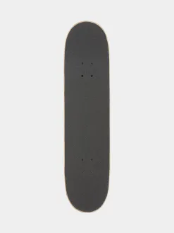 Antihero Skateboard Pigeon Close Up