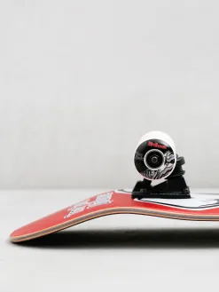 Birdhouse Hawk Falcon 2 Skateboard