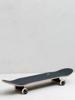 Birdhouse Sunset Skateboard
