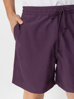 Carhartt WIP Shorts Chase Swim