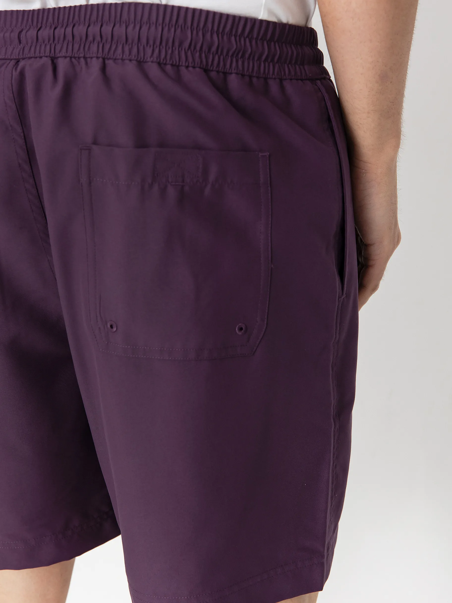 Carhartt WIP Shorts Chase Swim