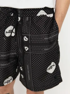 Carhartt WIP Slater Swim Shorts