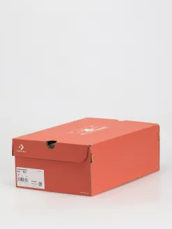 Converse Chuck 70 Hi Chucks