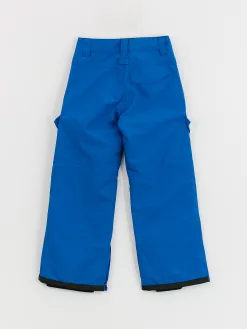 DC Banshee JR Snowboard pants