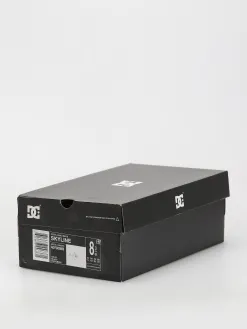DC Skyline Shoes