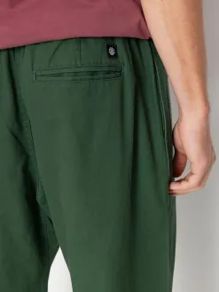 Element Chillin Twill Pants
