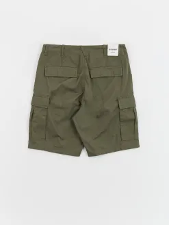 Element Legion Cargo Shorts