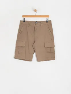 Etnies Renegade Cargo Shorts