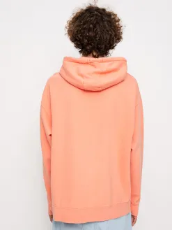 Etnies z kapturem Jw Sweatshirt