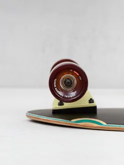 Globe Chromantic Cruiser