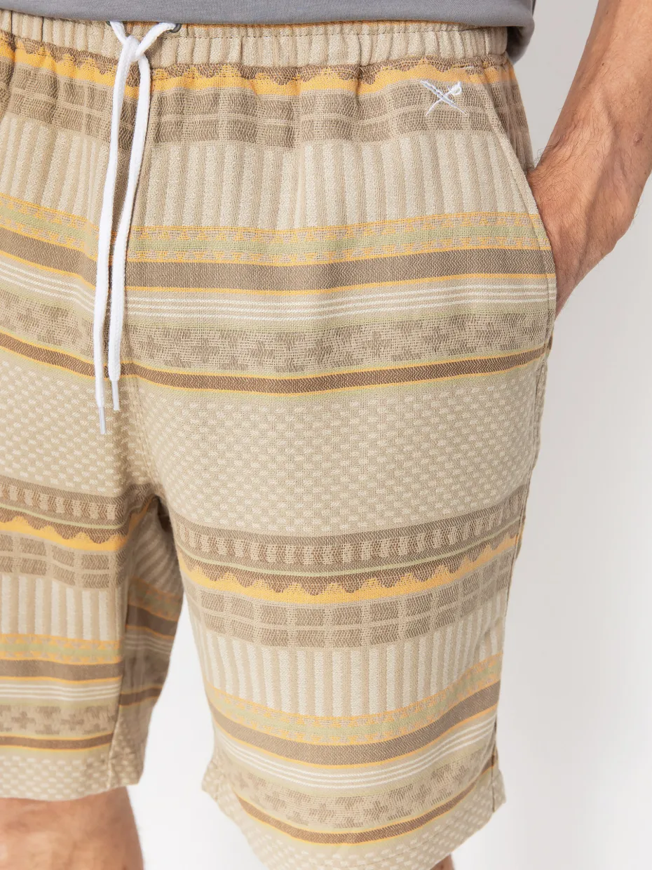 Iriedaily Vintachi Shorts