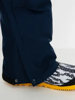 Mens DC Snowboard pants Banshee