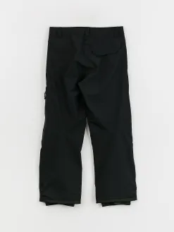 Mens DC Squadron 30K Snowboard pants