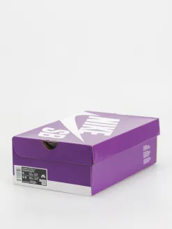 Nike SB Blazer Low Pro GT Shoes