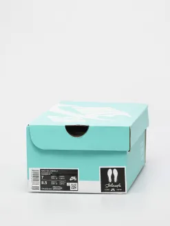 Nike SB Chron 2 Shoes