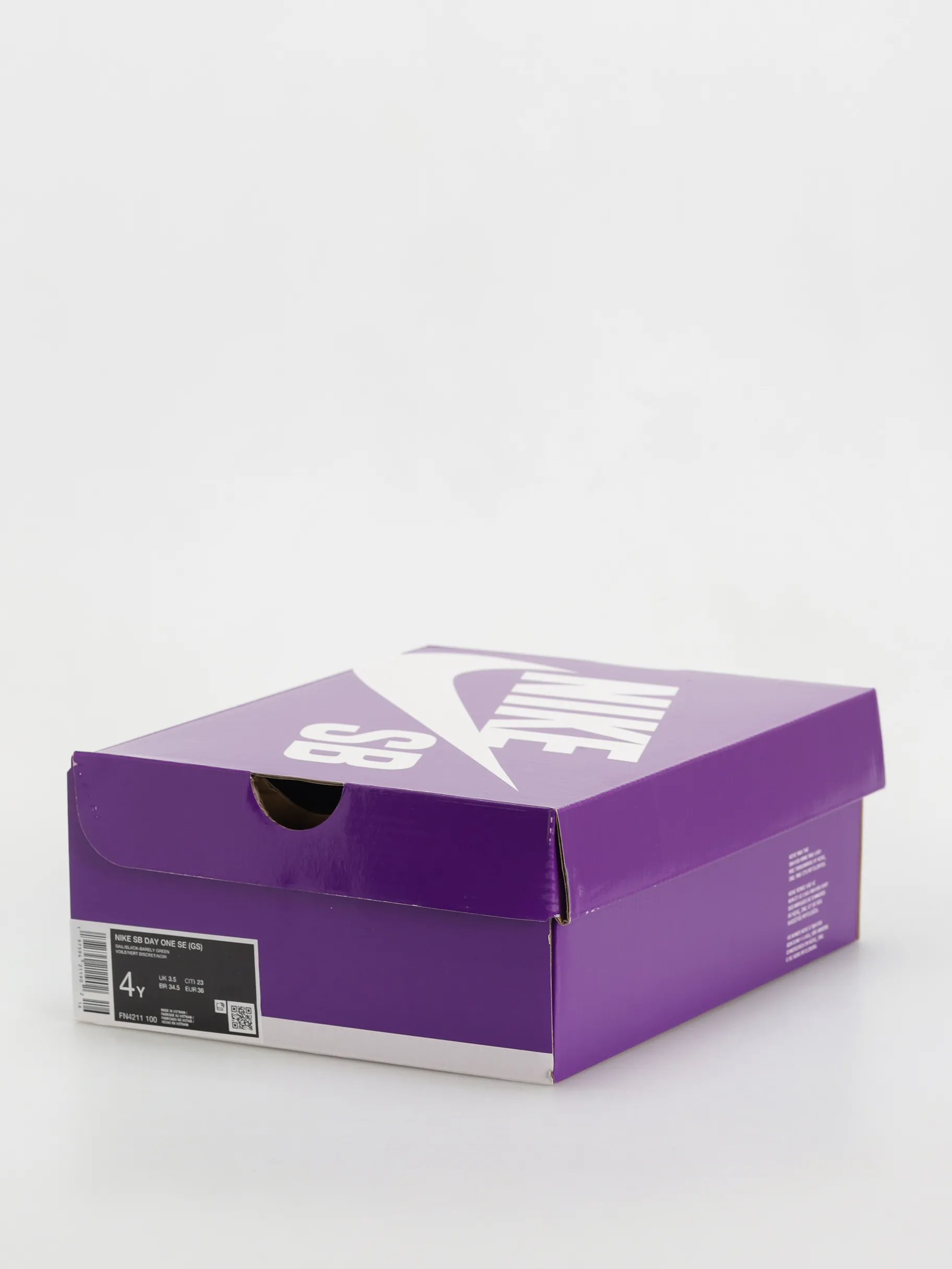 Nike SB Day One SE JR Shoes