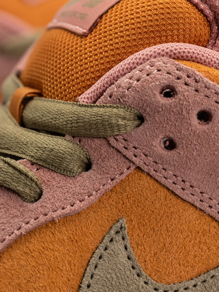 Nike SB Dunk Low Pro Shoes