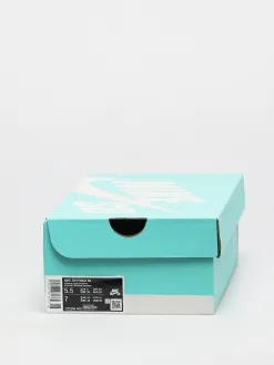 Nike SB Force 58 Shoes