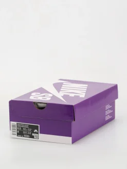 Nike SB Ishod 2 Shoes