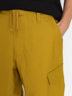 Nike SB Kearny Cargo Pants