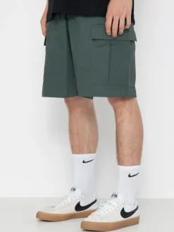 Nike SB Kearny Shorts