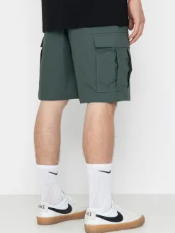 Nike SB Kearny Shorts