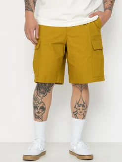 Nike SB Kearny Shorts