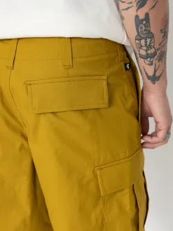 Nike SB Kearny Shorts