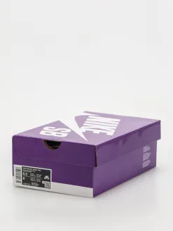 Nike SB Shoes AIR MAX ISHOD PRM