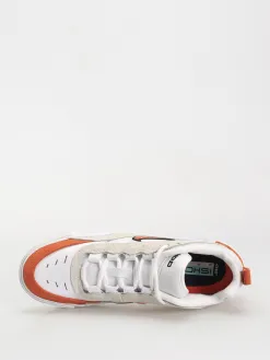 Nike SB Shoes Ishod 2