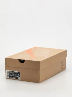 Nike SB Shoes Zoom Blazer Low Pro GT ISO