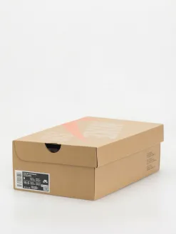 Nike SB Vertebrae Shoes