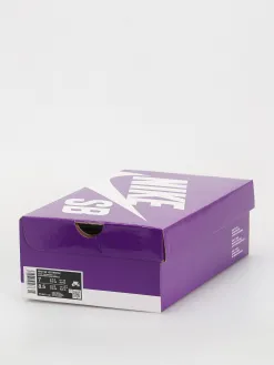 Nike SB Vertebrae Shoes