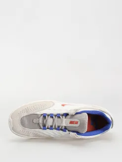 Nike SB Vertebrae Shoes