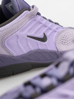 Nike SB Vertebrae Shoes