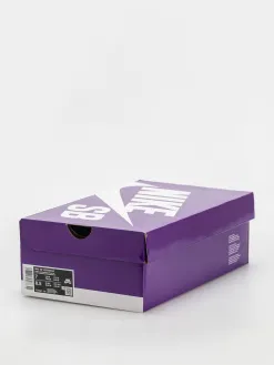 Nike SB Vertebrae Shoes