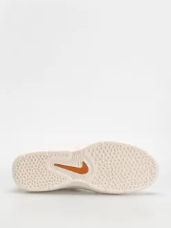 Nike SB Vertebrae Shoes