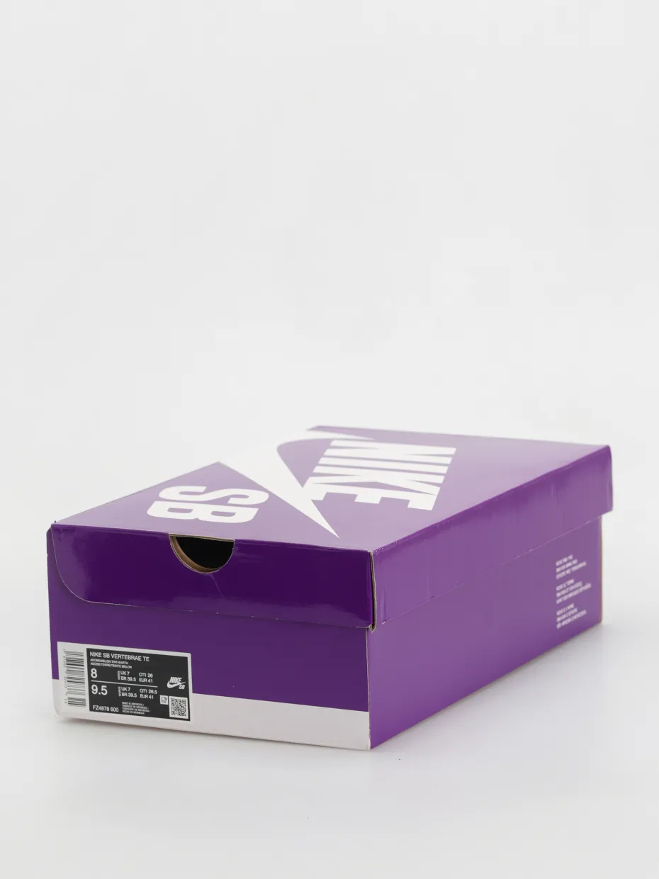 Nike SB Vertebrae Shoes