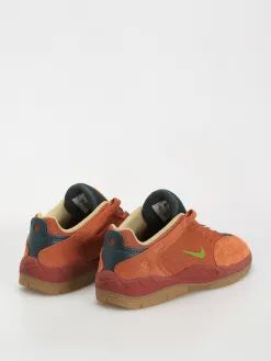Nike SB Vertebrae Te Shoes