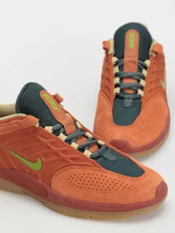 Nike SB Vertebrae Te Shoes