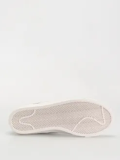 Nike SB Zoom Blazer Low Pro Gt Shoes