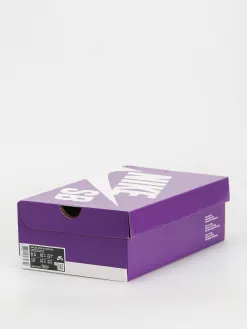 Nike SB Zoom Blazer Mid Shoes