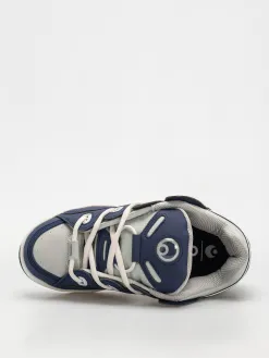 Osiris D3 OG Shoes