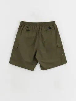 Polar Skate Utility Swim Shorts