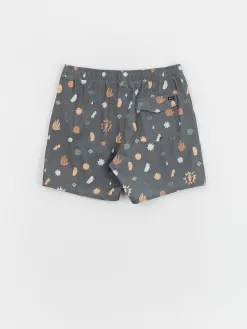 RVCA Atlas Elastic Boardshorts