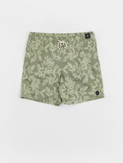 RVCA Barnes Elastic Boardshorts