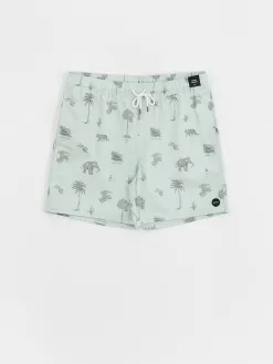 RVCA Barnes Elastic Boardshorts