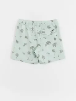 RVCA Barnes Elastic Boardshorts