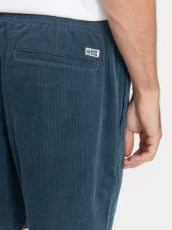 Salty Crew Kahuna Cord 19 Shorts