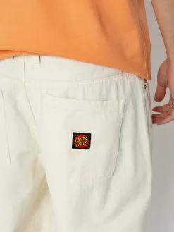Santa Cruz Big Pant Pants